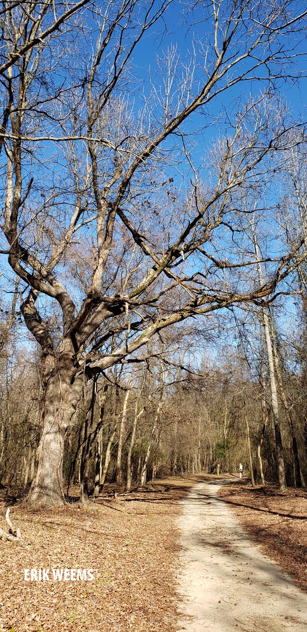 Trail Path Chesterfield