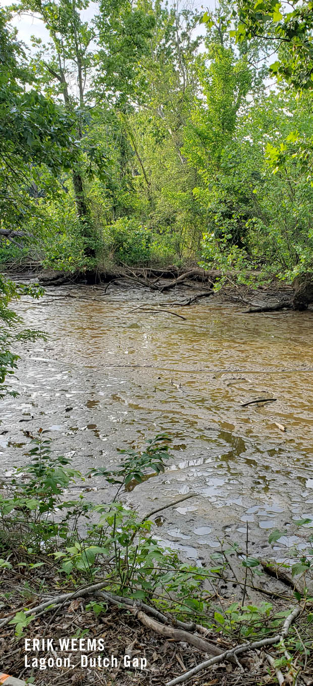 Low Water at Dutch Gap Lagoon