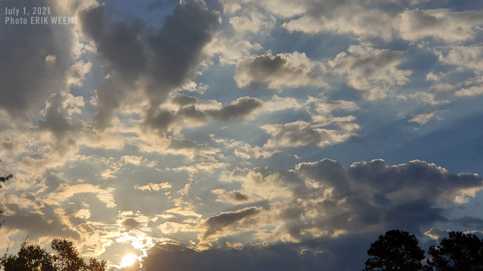 Morning sun light Chesterfield Virginia