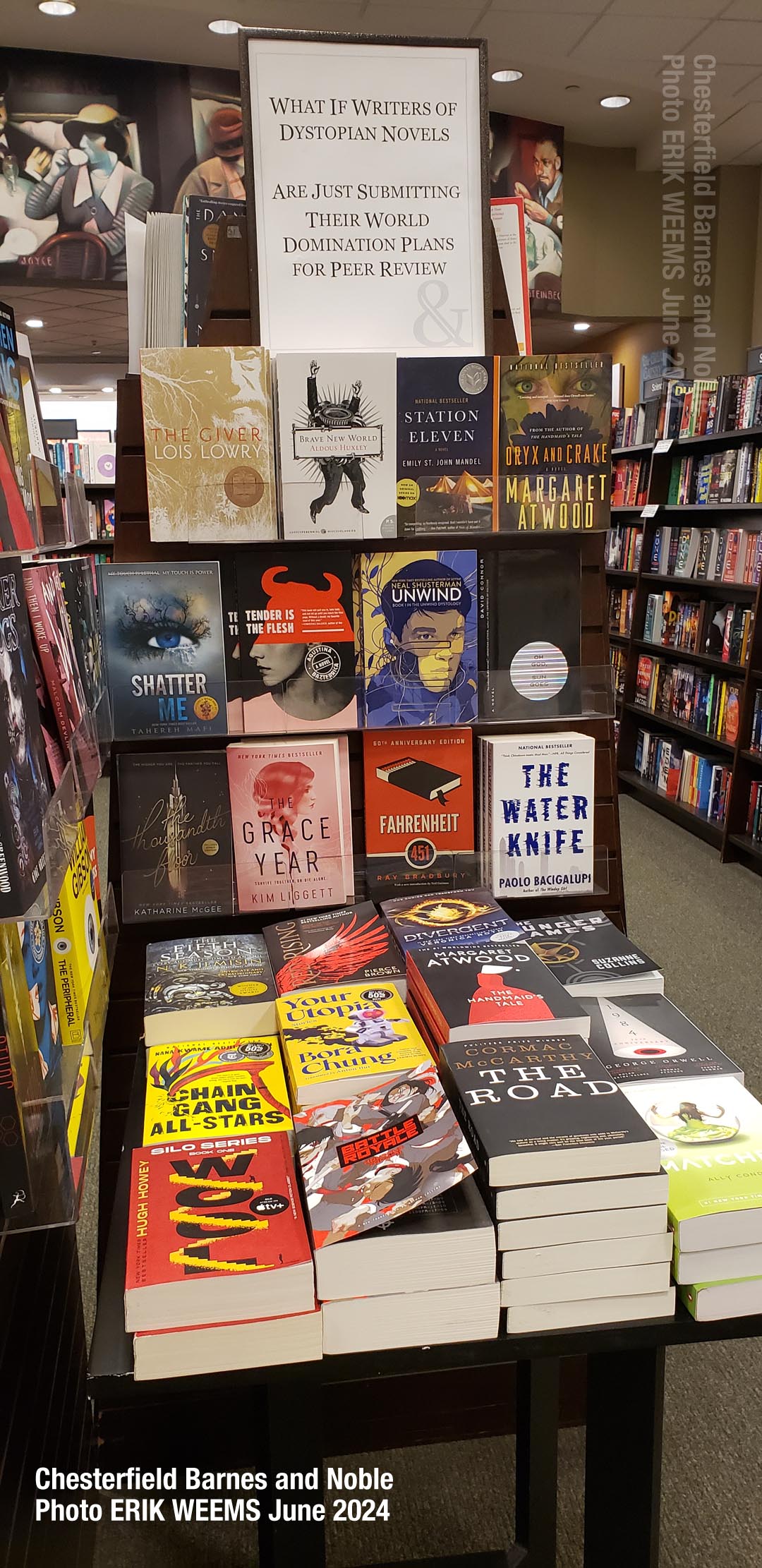 Dystopian Novels in Chesterfield County Virginia